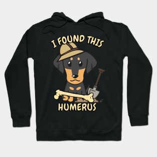 Funny dachshund is an archaeologist Hoodie